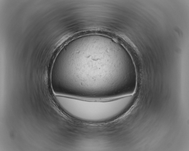 X0000112780969200908271700