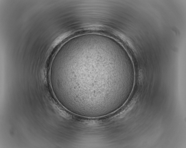 X0000112780970200908271700