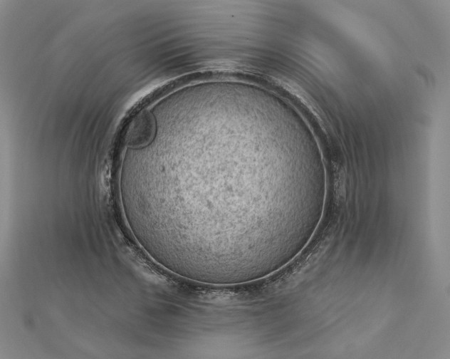 X0000112780971200908271700