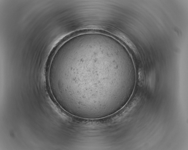 X0000112780972200908271700