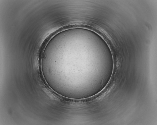 X0000112780973200908271700