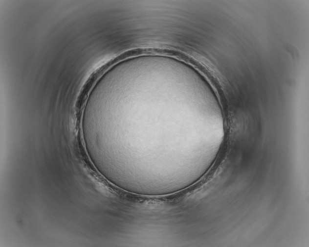 X0000112780974200908271700