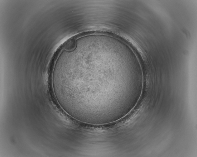 X0000112780975200908271700