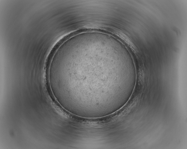 X0000112780976200908271700