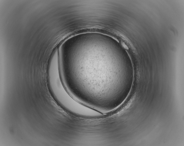 X0000112780977200908271700