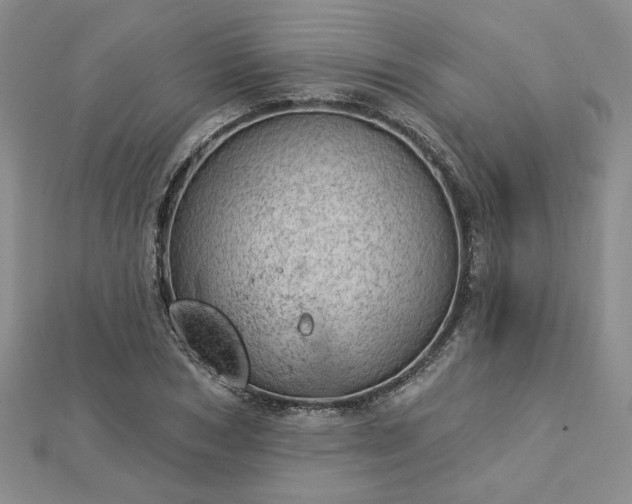 X0000112780978200908271700