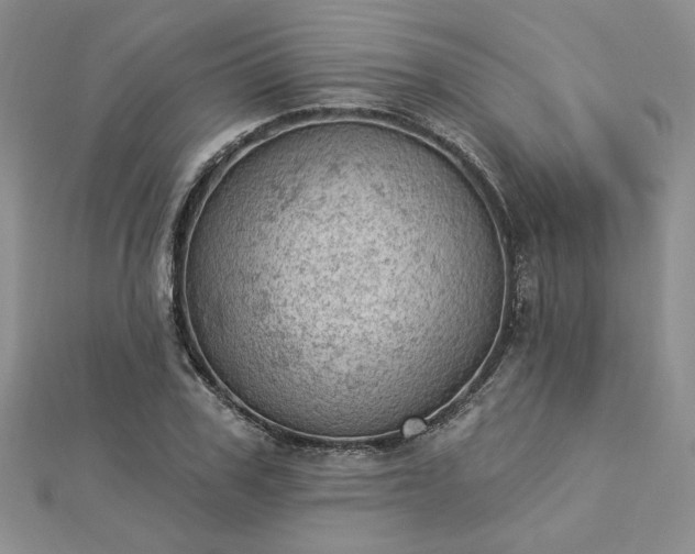 X0000112780979200908271700