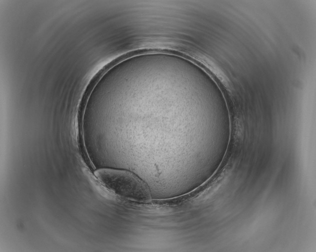 X0000112780980200908271700