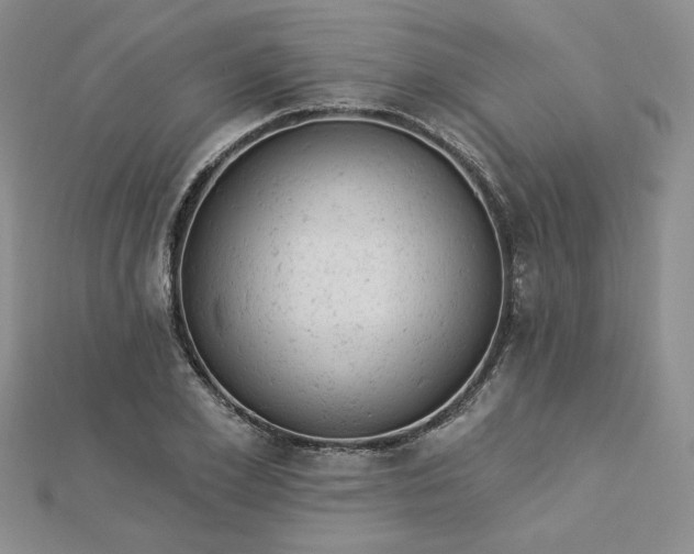 X0000112780981200908271700