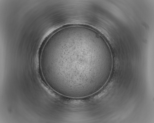 X0000112780982200908271700