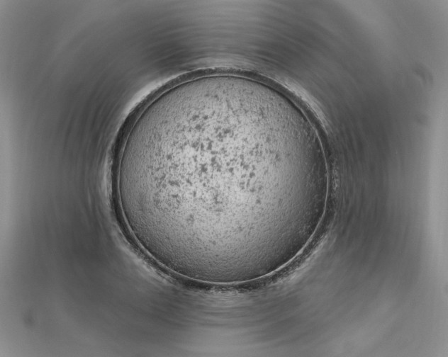 X0000112780983200908271700