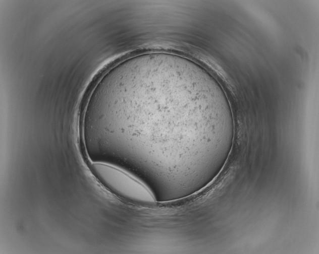 X0000112780984200908271700