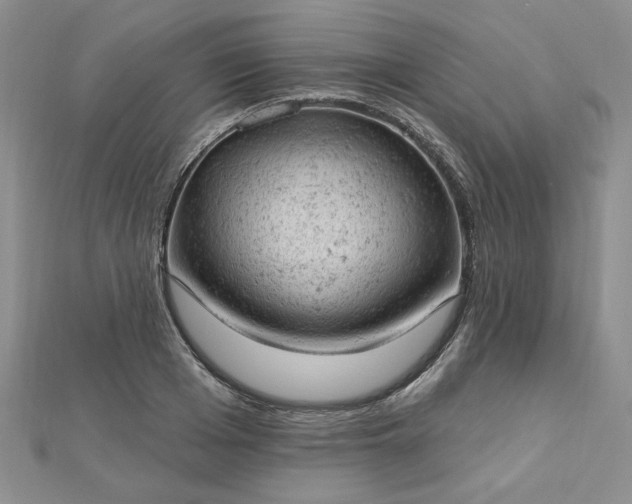 X0000112780985200908271659