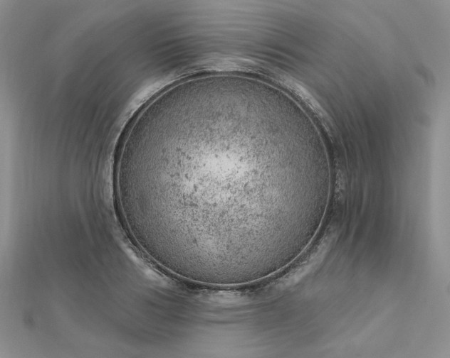 X0000112780986200908271659