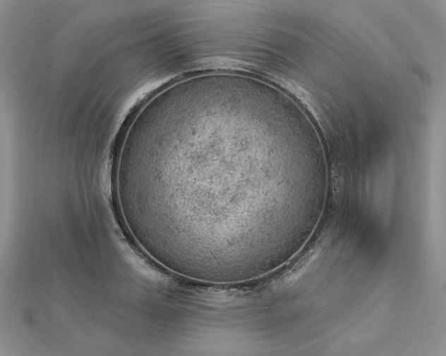 X0000112780987200908271659