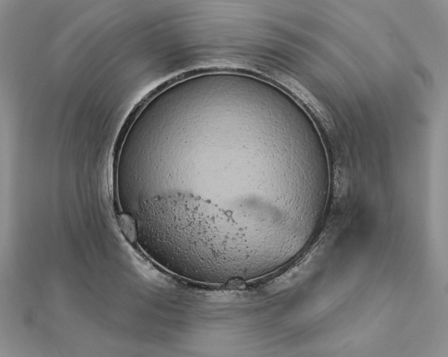 X0000112780988200908271659