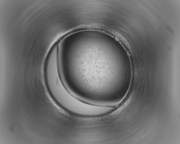 X0000112780989200908271659