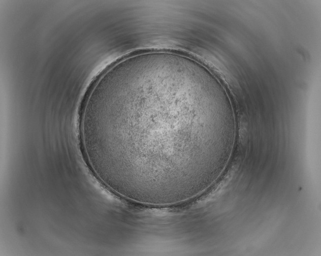 X0000112780990200908271659