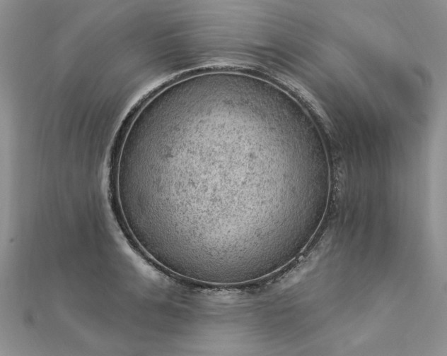 X0000112780991200908271659