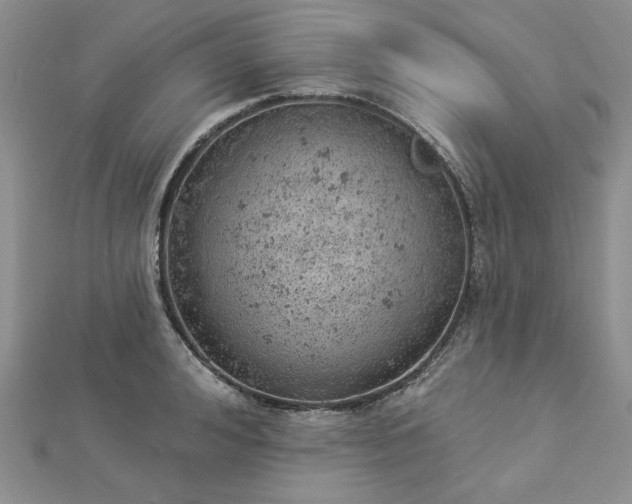 X0000112780992200908271659