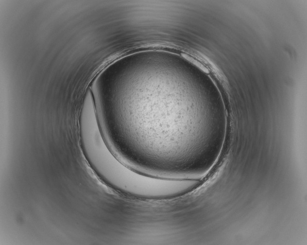 X0000112780993200908271659