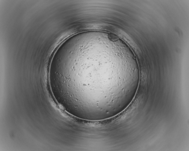 X0000112780994200908271659