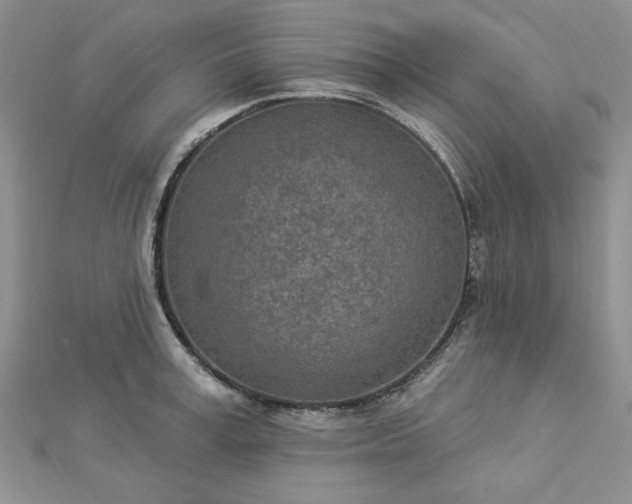 X0000112780995200908271659