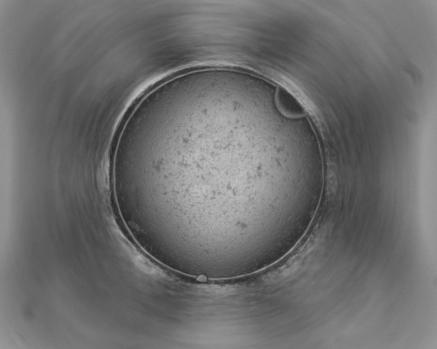 X0000112780996200908271659