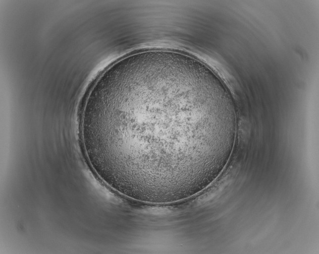 X0000112780998200908271659