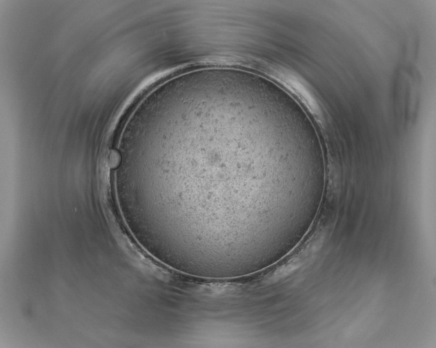 X0000112781000200908271659