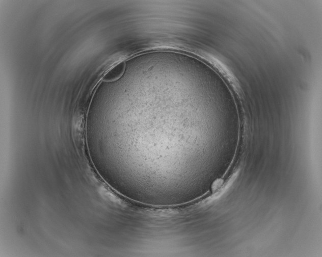 X0000112781001200908271659