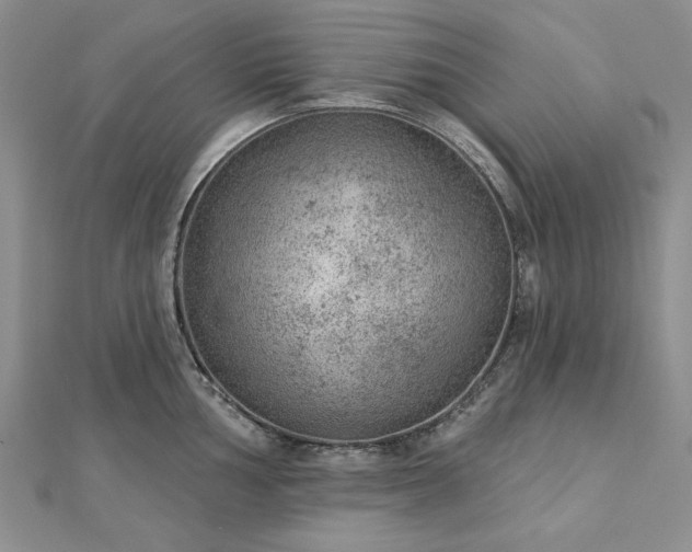 X0000112781002200908271659