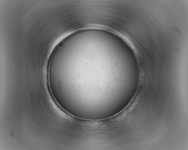 X0000112781003200908271659