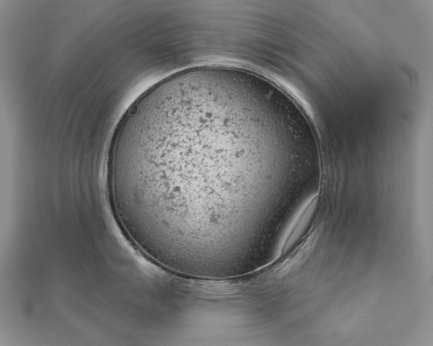 X0000112781007200908271659