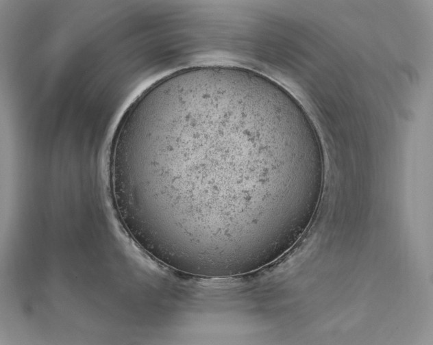 X0000112781008200908271659