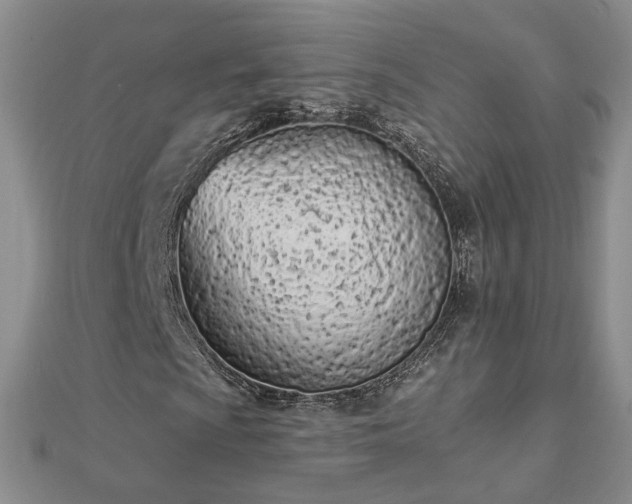 X0000112781009200908271659