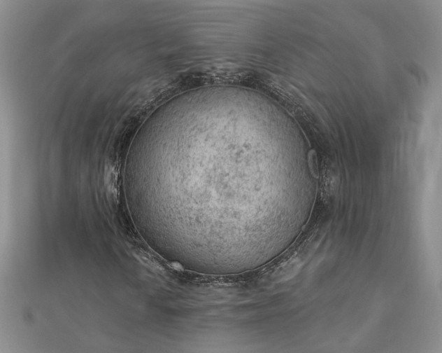 X0000112781010200908271659