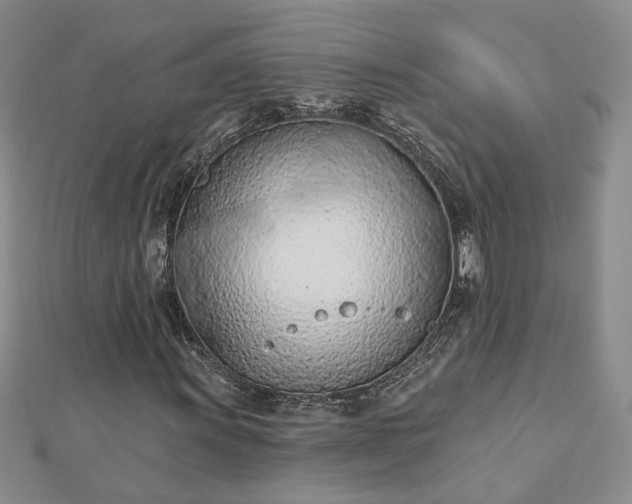 X0000112781011200908271659