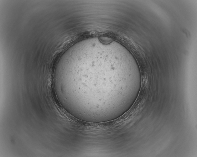 X0000112781012200908271659