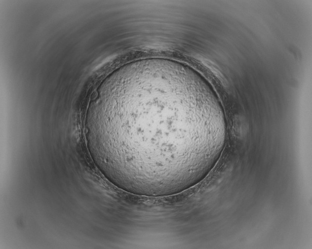 X0000112781015200908271659