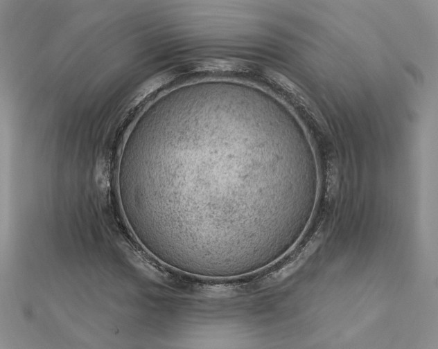 X0000112781017200908271659