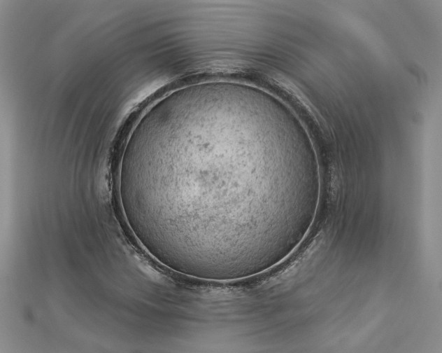 X0000112781018200908271659