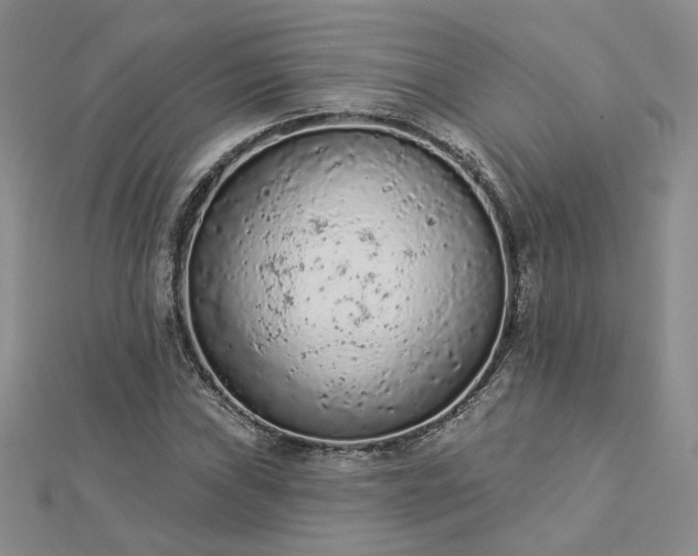 X0000112781019200908271659