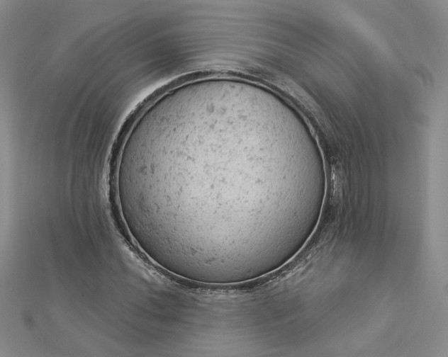 X0000112781020200908271659