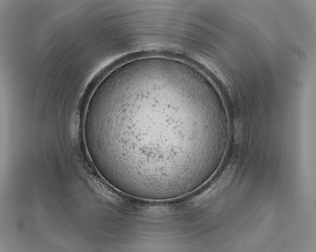 X0000112781021200908271659