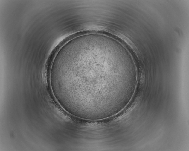 X0000112781022200908271659