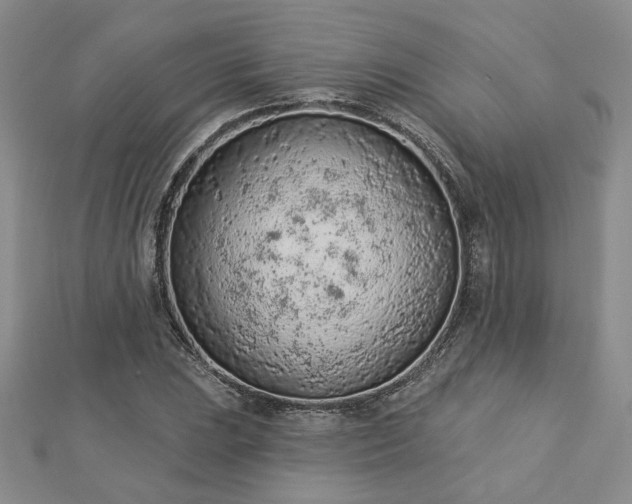 X0000112781023200908271659