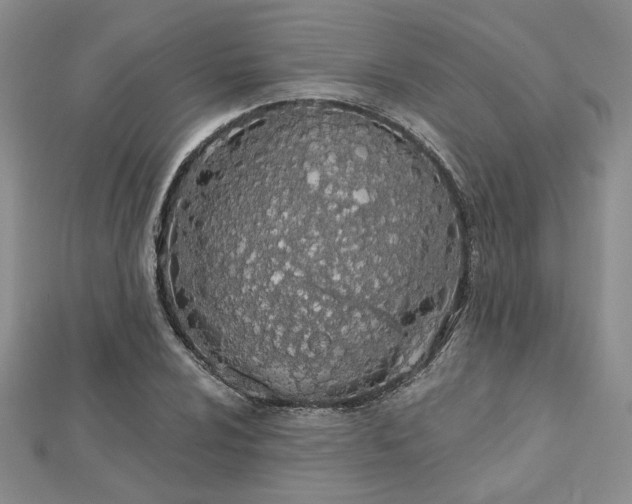 X0000112781024200908271659