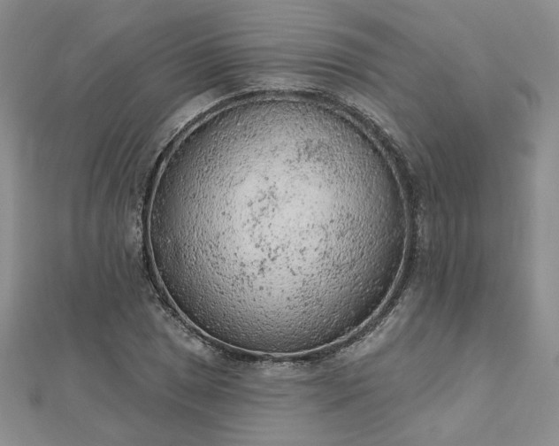 X0000112781025200908271659