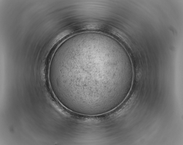 X0000112781026200908271659